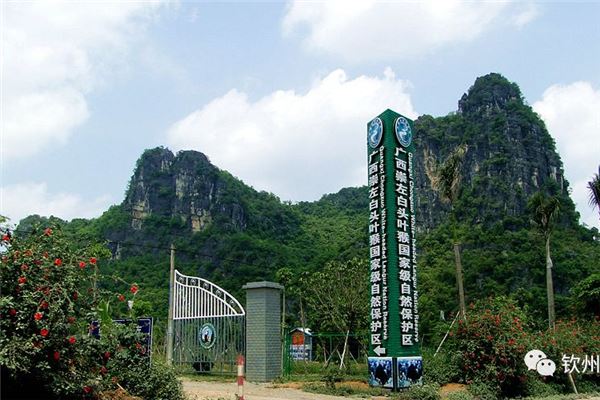 崇左弄官生态公园