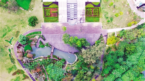 广西药用植物园