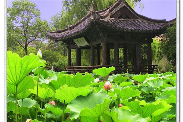 蒋城子古文化遗址