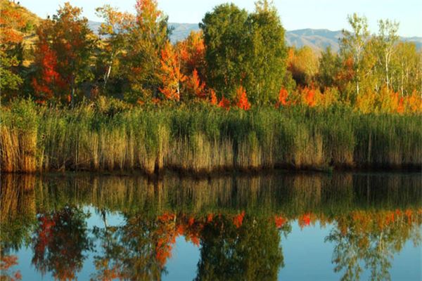 白沙湖农业生态园