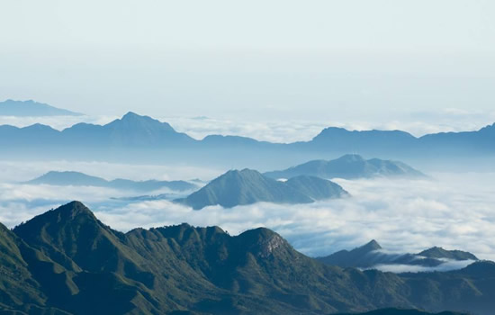 茂名林洲顶鳄蜥省级自然保护区