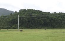 七星坑自然保护区