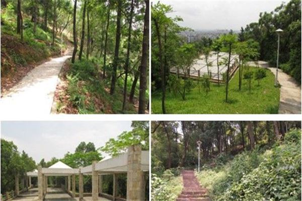 大云山自然生态公园