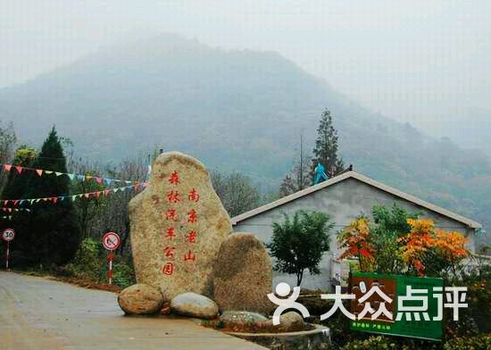 狮子岭森林公园