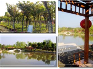 香如故植物观赏园