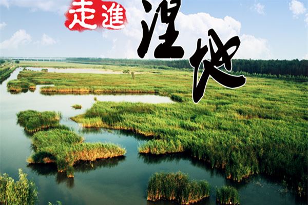 国家级湿地鸟类自然保护区