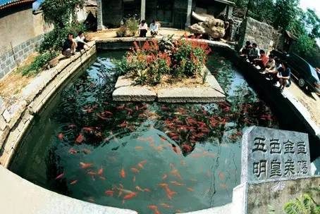 卞庄镇代村生态农业旅游区