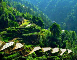 井冈山鹅岭（鹅山）