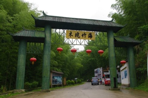 木坑竹海